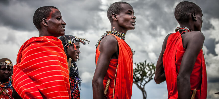 Software Engineering program image